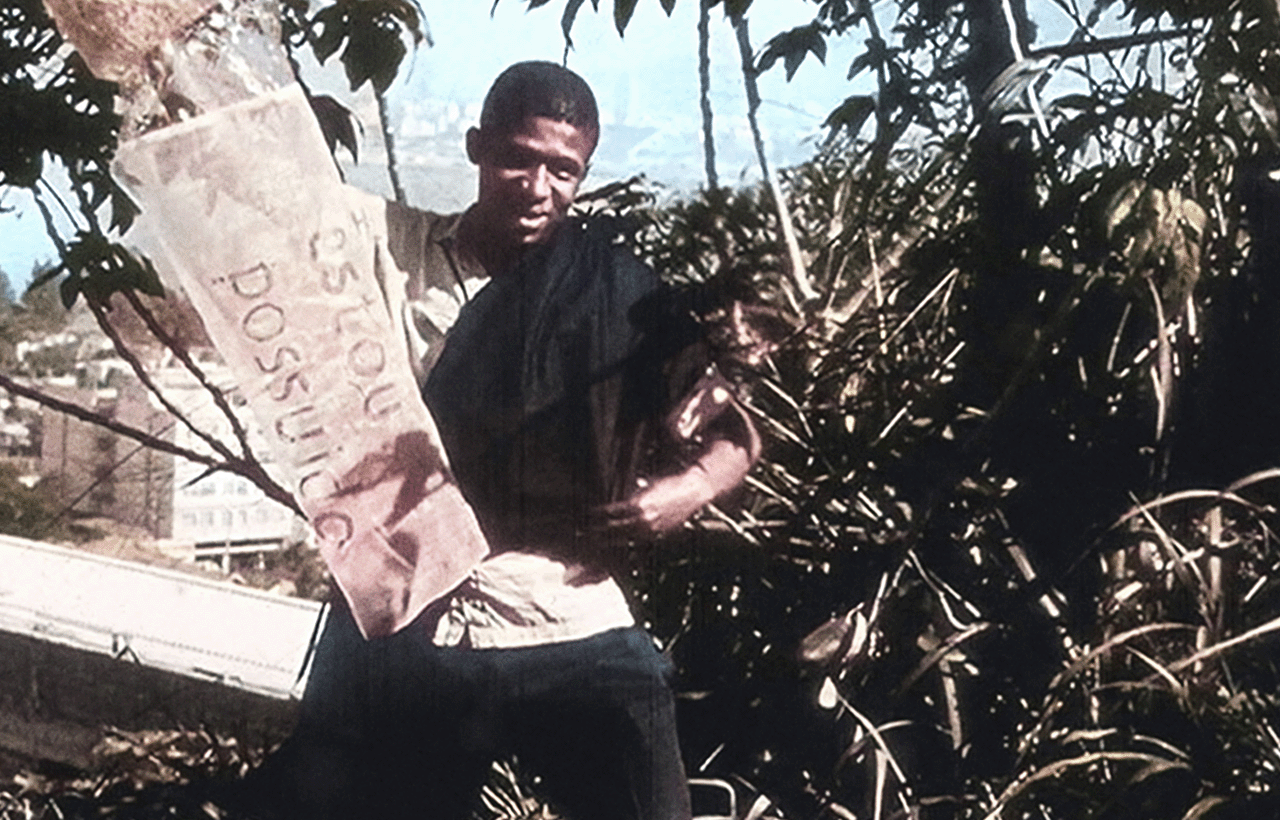 Projeto Hélio Oiticica