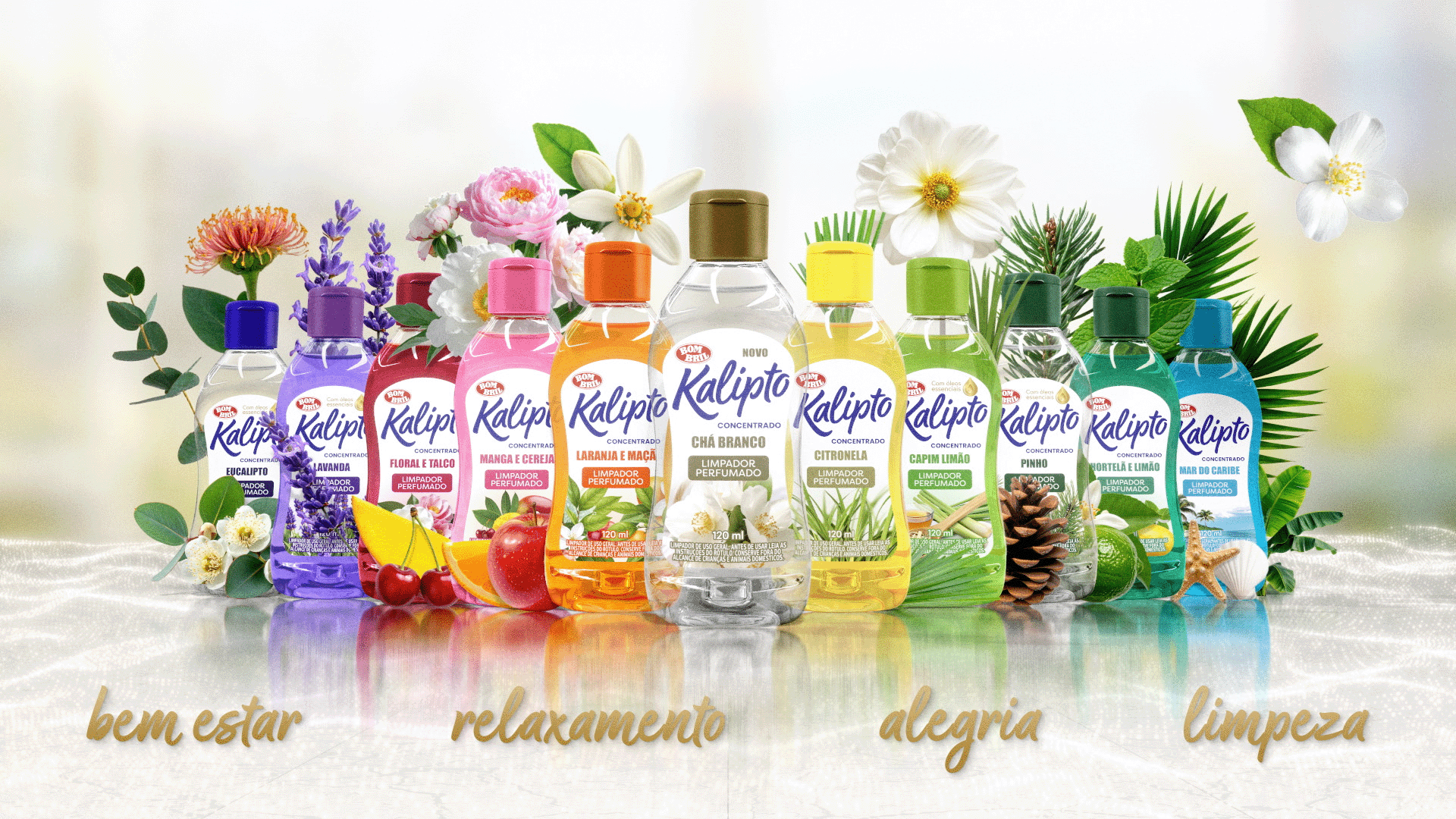 kalipto_06_web
