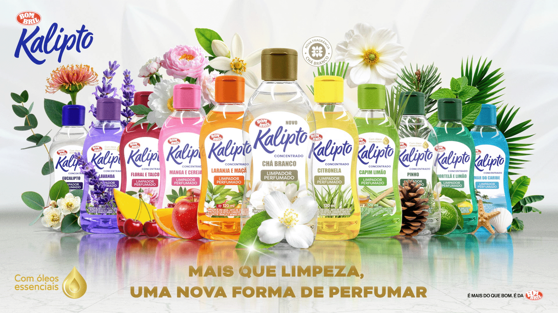 kalipto_07_web
