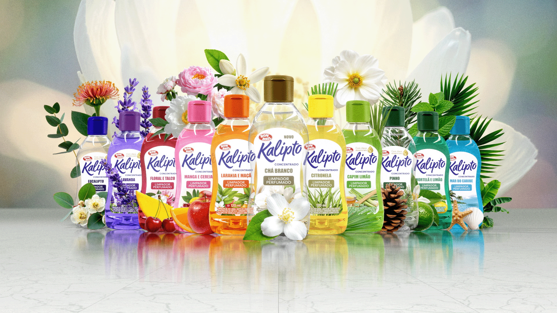 kalipto_08_web